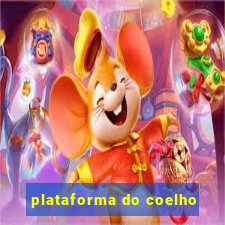 plataforma do coelho